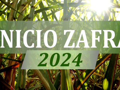 ZAFRA 2024: comenzó la molienda en Tucumán