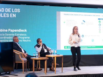 Energía y sostenibilidad: el potencial de los biocombustibles en el futuro de la matriz energética argentina