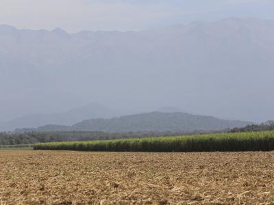 La molienda de caña avanza en el NOA