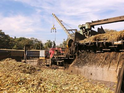 La zafra argentina llega al 50 % de avance respecto a la estimación productiva