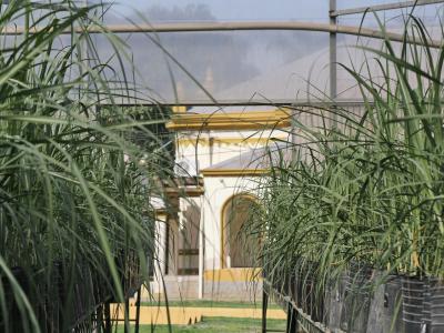 La EEAOC presentó su reporte sobre el Monitoreo Satelital de la dinámica de la cosecha de caña de azúcar