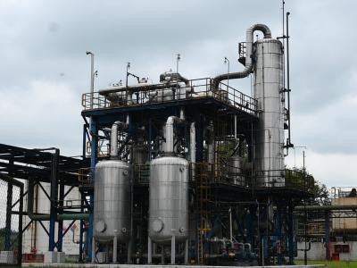 Con Tucumán a la cabeza, la producción sucroalcoholera sella un récord histórico en la campaña 2025/2026