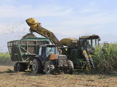 La zafra avanza con 16 ingenios en el NOA