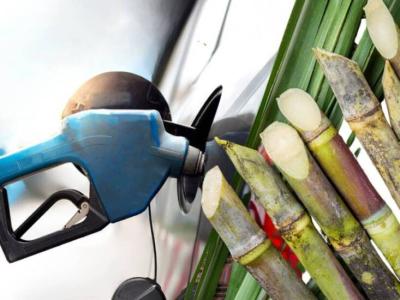 La Secretaria de Energía fija nuevos precios para el bioetanol en noviembre