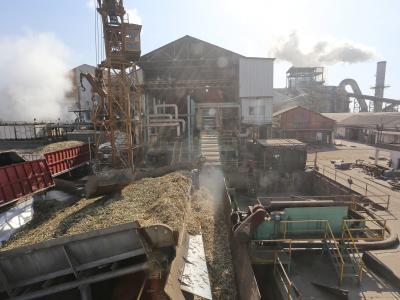 Cruz Alta, La Providencia y Leales concluyeron su zafra 2025