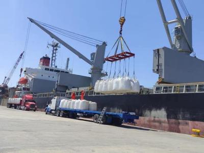 Desde el inicio de la zafra hasta fin de septiembre, la Argentina exportó 335.573 toneladas de azúcares