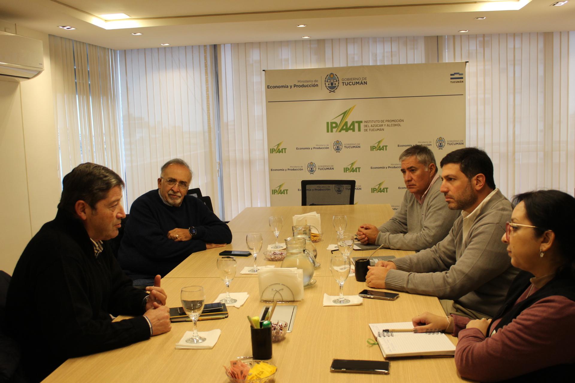 Avanzan las actividades preliminares para la zafra 2026