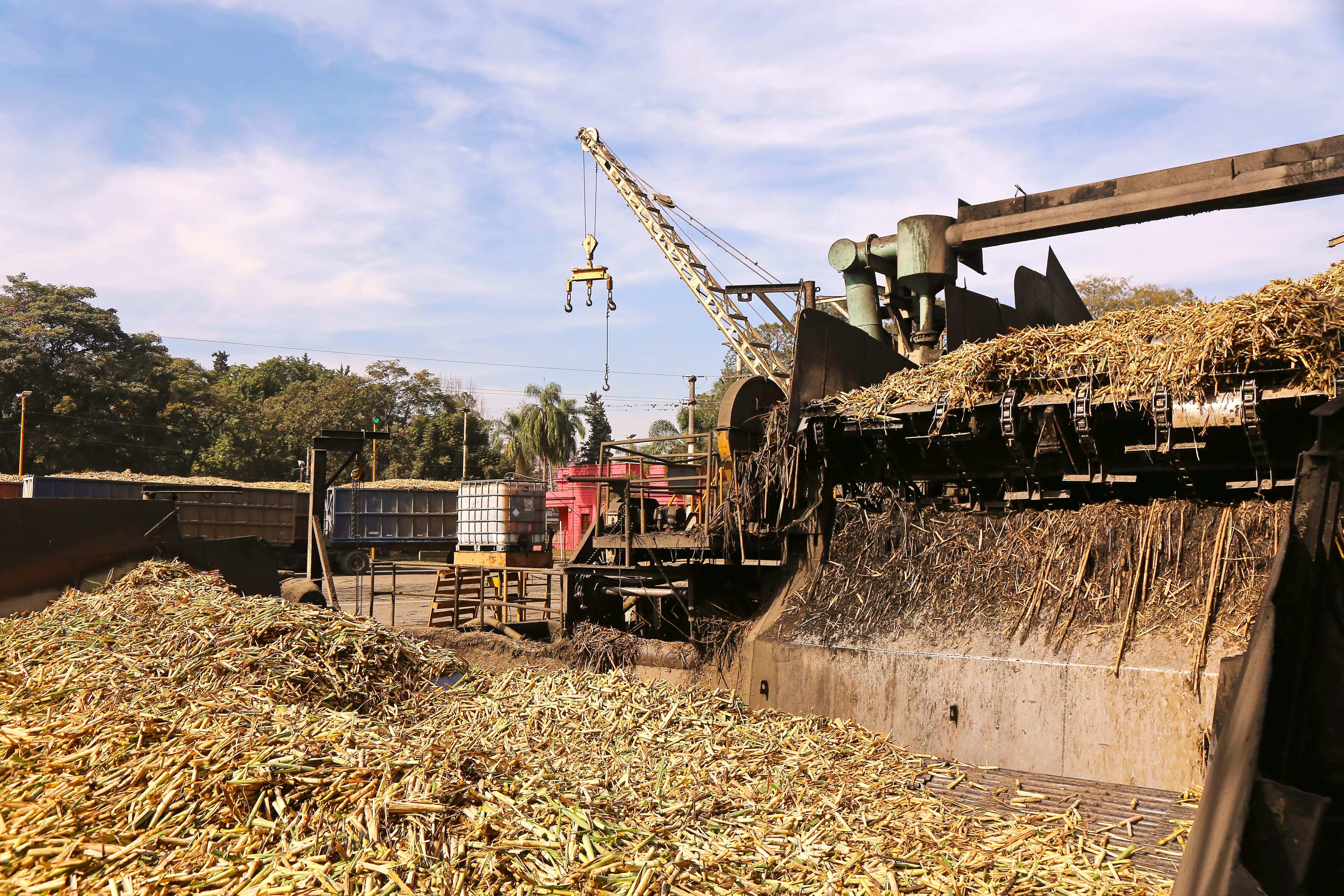 La zafra argentina llega al 50 % de avance respecto a la estimación productiva