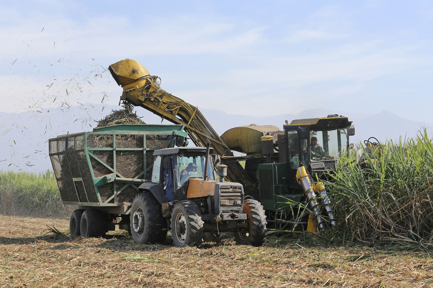La zafra avanza con 16 ingenios en el NOA