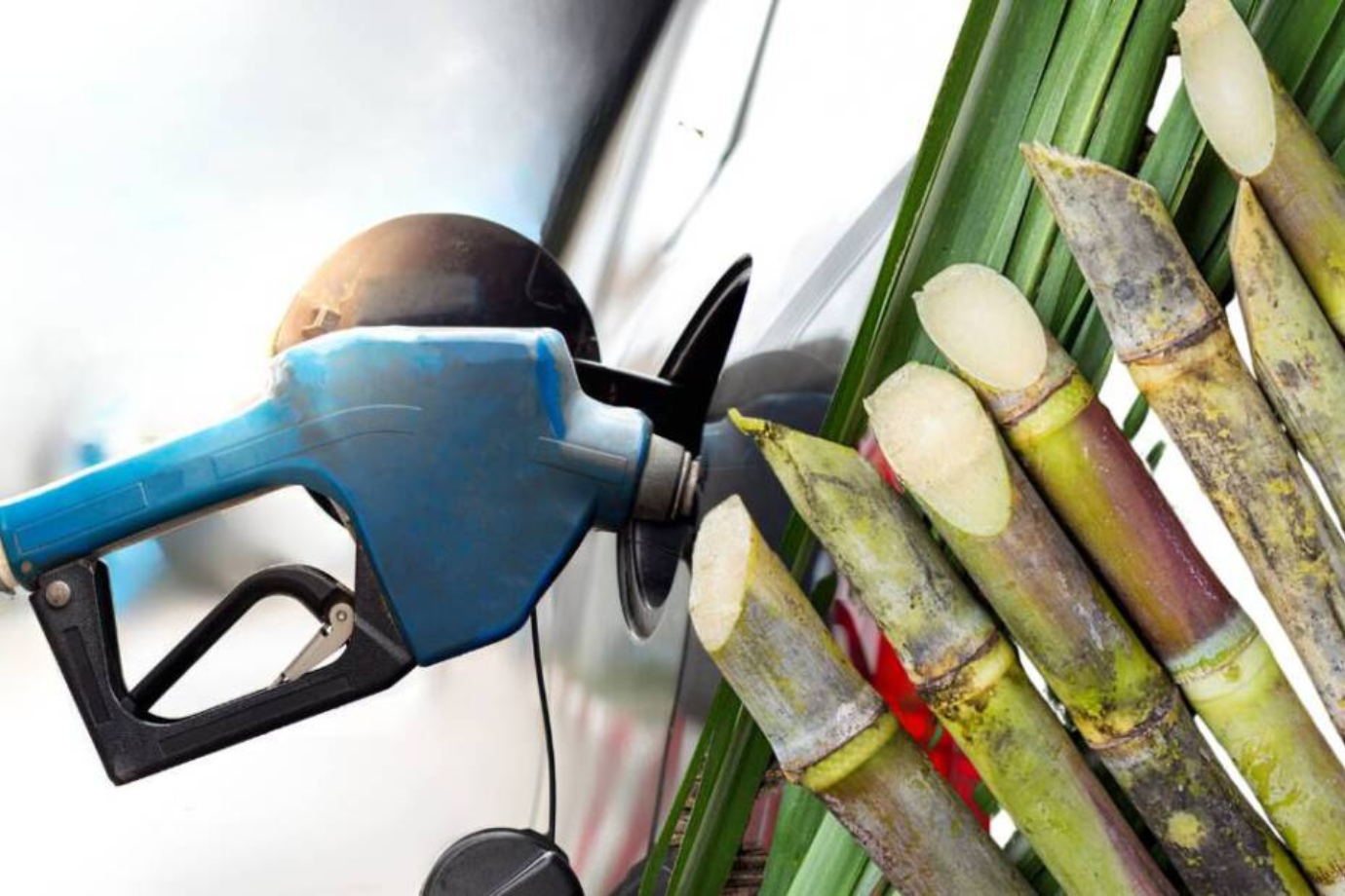 Nuevos precios del bioetanol para mayo
