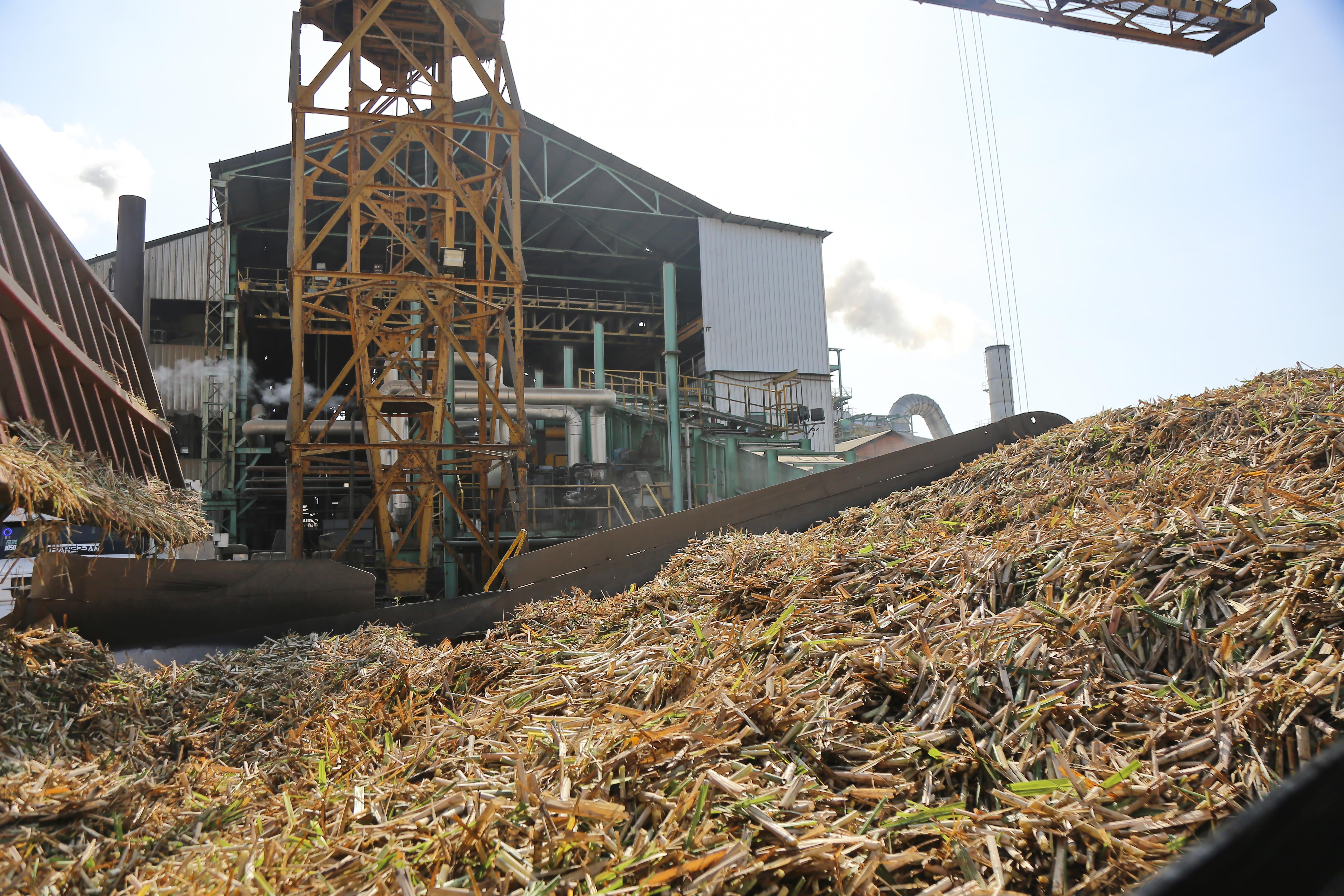 La zafra tucumana alcanza el 99% de avance